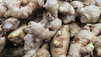 A close up of a pile of ginger root photo