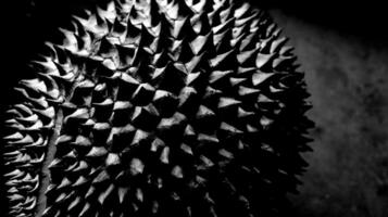 Durian skin texture with black and white, photo