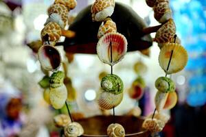 Handmade souvenir decorated with different sea shells photo