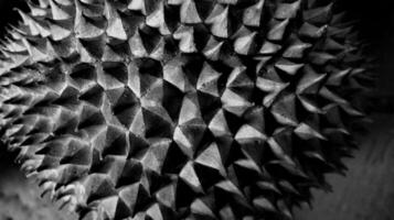 Durian skin texture with black and white, photo