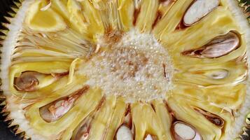 Detail of fresh Jackfruit cut in half photo
