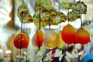 Handmade souvenir decorated with different sea shells photo