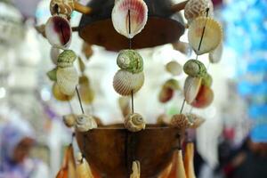 Handmade souvenir decorated with different sea shells photo