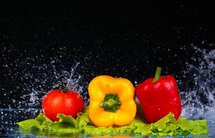 Colored red paprika in water splashes on black background photo