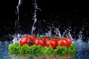 Salad, tomato and with water drop splash photo