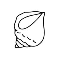 shell cartoon uncolored vector