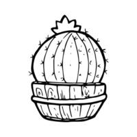 hand drawn of cactus uncolored vector