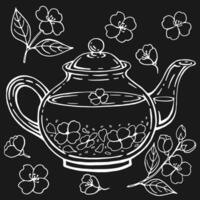 Set with glass teapot, jasmine. Hand drawn illustration in outline style. vector