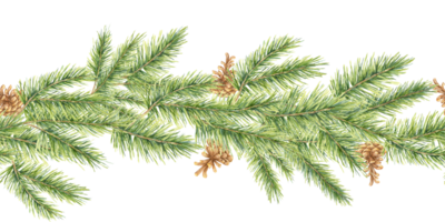 Watercolor pine branches with pine cones, creating a seamless and versatile border clipart. Ideal for seasonal merchandise, such as mugs, stickers, or banners, adding a nature-inspired element png