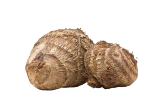 Two large, raw, uncooked, uncooked, uncooked, uncooked, uncooked png