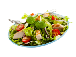 A plate with a salad and a fork png