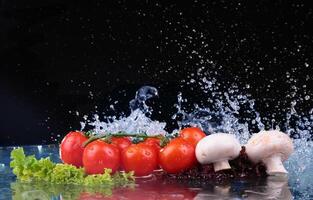 Salad, tomato and with water drop splash photo