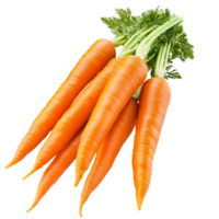Fresh Carrot Bunch on Transparent Background png