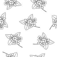 Hand drawn jasmine flowers seamless pattern. Minimalistic floral design for fabric, textile, wrapping paper, gift paper vector