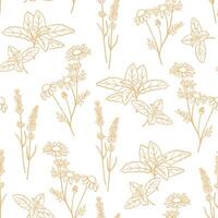 Seamless pattern with hand drawn herbs. Mint, chamomile and lavender plants in beige color. Design for fabric, wrapping, prints vector