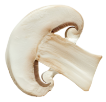 Slice of champignon isolated on transparent background png