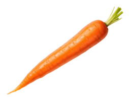 One ripe carrot isolated on transparent background png