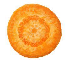 Slice of a carrot isolated on transparent background png