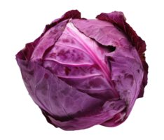 Purple cabbage isolated on transparent background png