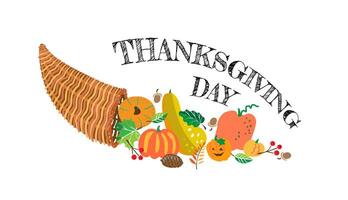 Thanksgiving concept with pumpkins and cornucopia vector