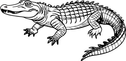 Abstract Crocodile Line Art vector