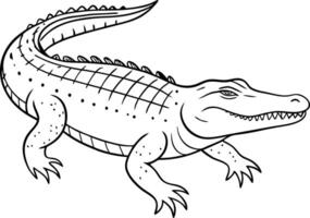 Crocodile in Simple Line Art vector
