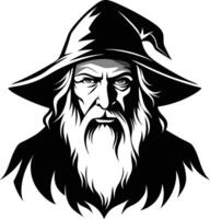 The Wizard and the Shadowed Prophecy vector