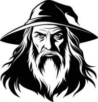 The Wise Wizard of the Shadowed Realms vector