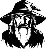 The Last Wizard of the Shadowed Kingdom vector