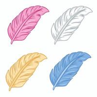 Feathers set isolated on a white background. illustration. vector