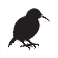 kiwi bird silhouette on white background images vector