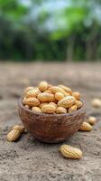 Bowl of raw peanuts on a sandy surface surrounded by greenery in bright daylight photo
