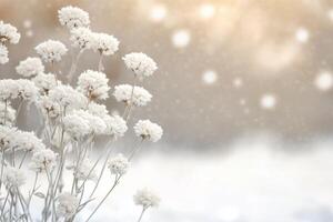 White flowers bloom on snowy ground as sunlight breaks through at dawn photo