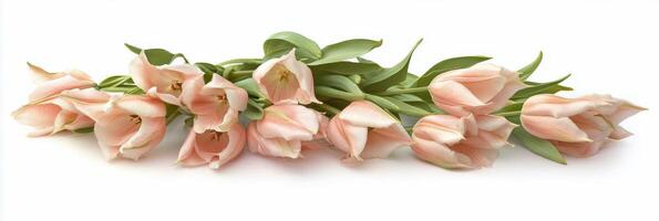 Beautiful arrangement of soft pink flowers on a clean white background photo