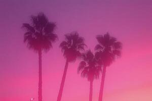 Colorful sunset over a tranquil pond with palm trees silhouetted in a vibrant sky photo