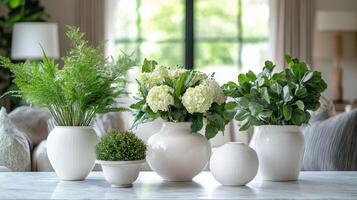 Elegant indoor garden display with assorted plants and decorative pots in a bright setting photo