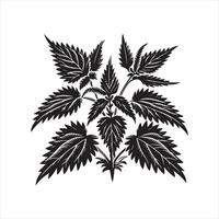 Nettle Plant Outline silhouette on white background vector