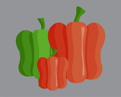 Three peppers on a gray background vector