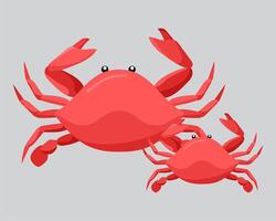 Two red crabs on a gray background vector