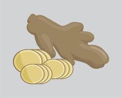 Ginger root and coins on a gray background vector