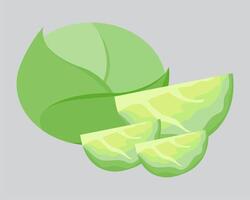 A green cabbage with slices and a slice vector