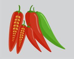 three red and green peppers on a gray background vector