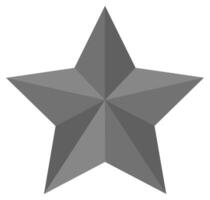 Grey star flat icon isolated on white background. vector