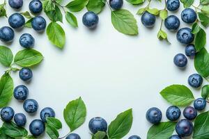 Fresh blueberries and green leaves arranged in a circular pattern on a light background photo