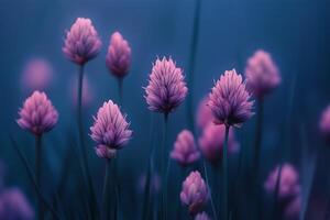 Soft purple flowers in a misty field during early morning light near a tranquil forest photo