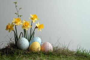 Colorful Easter eggs nestled among blooming daffodils in springtime garden setting photo