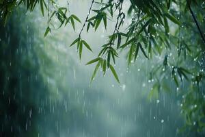 Gentle droplets fall on bamboo leaves in a peaceful green forest setting during early morning hours photo
