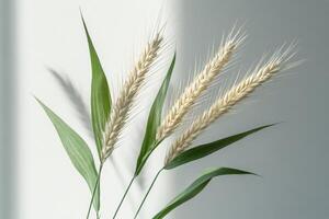 Golden wheat stalks swaying gently in a field under clear sky on a warm summer day photo