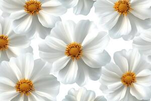 White flowers with golden centers arranged artistically on a light background photo