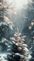 Snow covered pine branches glistening in soft light during a winter snowfall at dusk photo